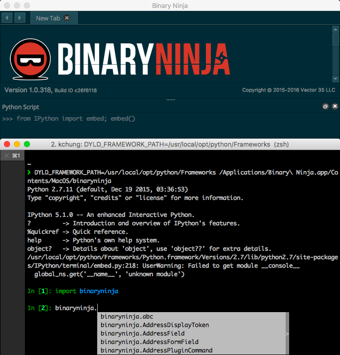 Binary Ninja: IPython and the Python Console